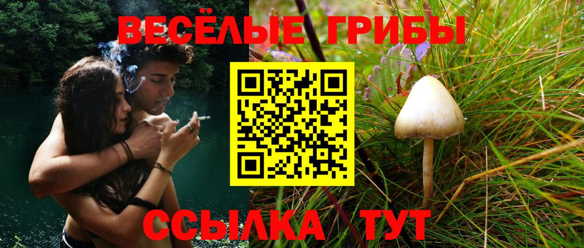 Галлюциногенные грибы GOLDEN TEACHER Сосновый Бор