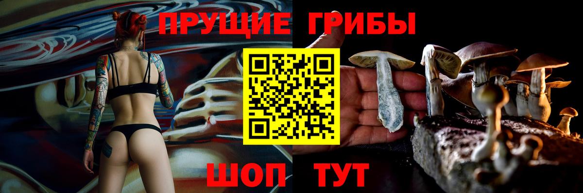 закладка  Псилоцибиновые грибы ЛСД  Вход с VPN  Сосновый Бор 